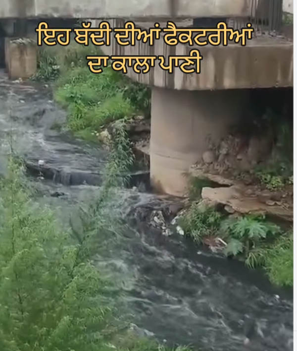 PunjabKesari